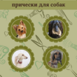 Резинки силиконовые широкие для создания причесок животным цветные яркие - Товары для животных